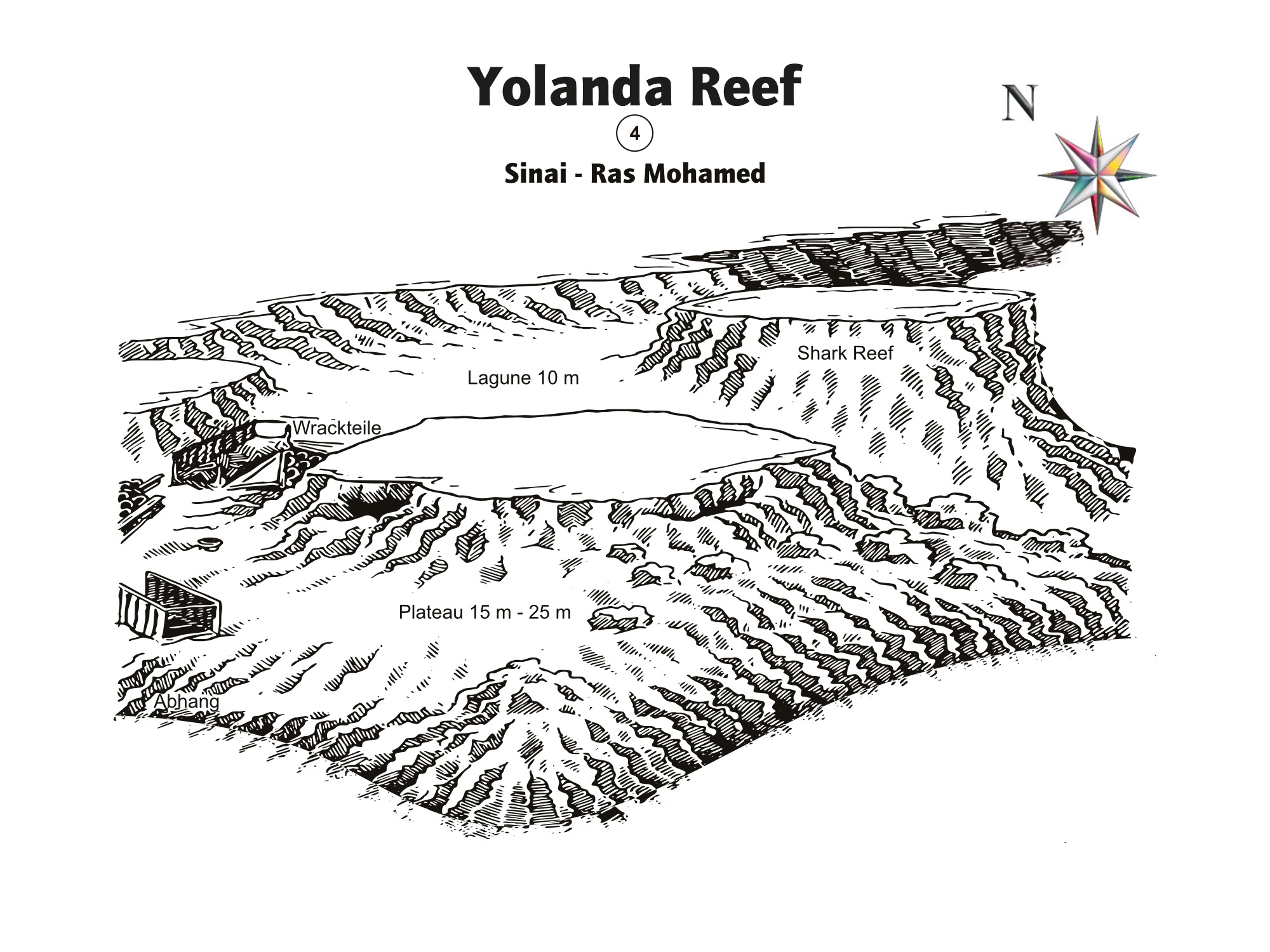 Shark-Yolanda Reef verzaubert alle Taucher