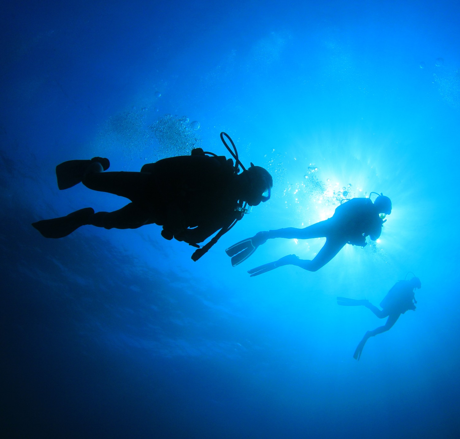 Tauchen James Mac Diving Center Tauchen James Mac Diving Center