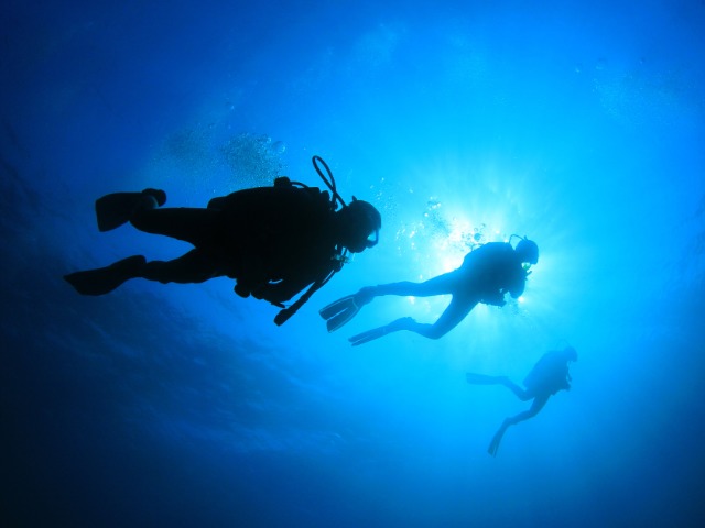 Divers Underwater