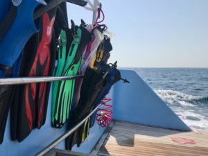 Unsere Rückschau auf die Woche aus Hurghada