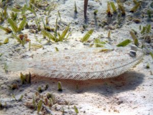 Generalüberholt und bereit fürs nächste Abenteuer