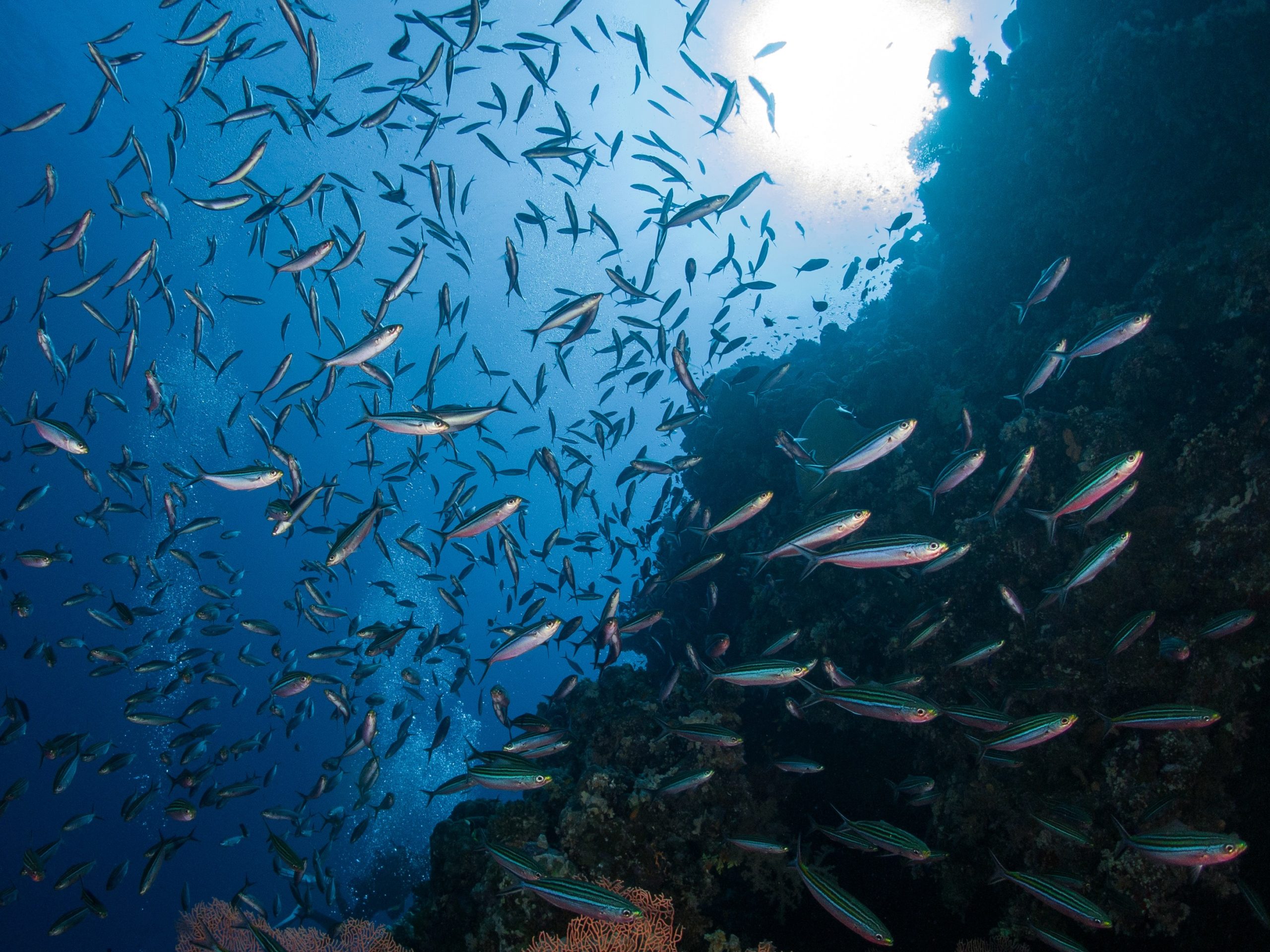 Unterwasser-Hurghada