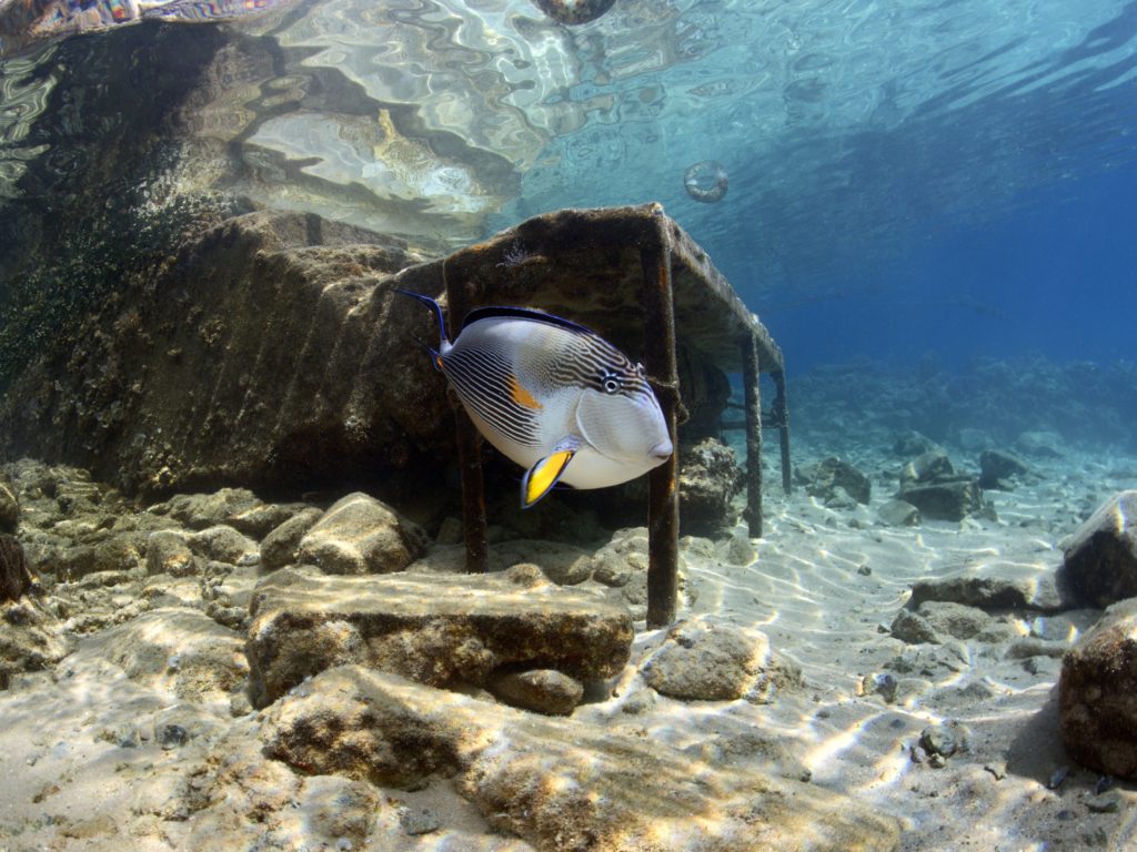 Hurghada: Unser Rückblick auf die Woche