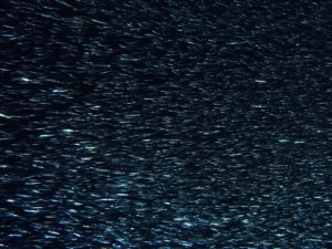 Unterwegs mit Übernachtung auf dem Meer