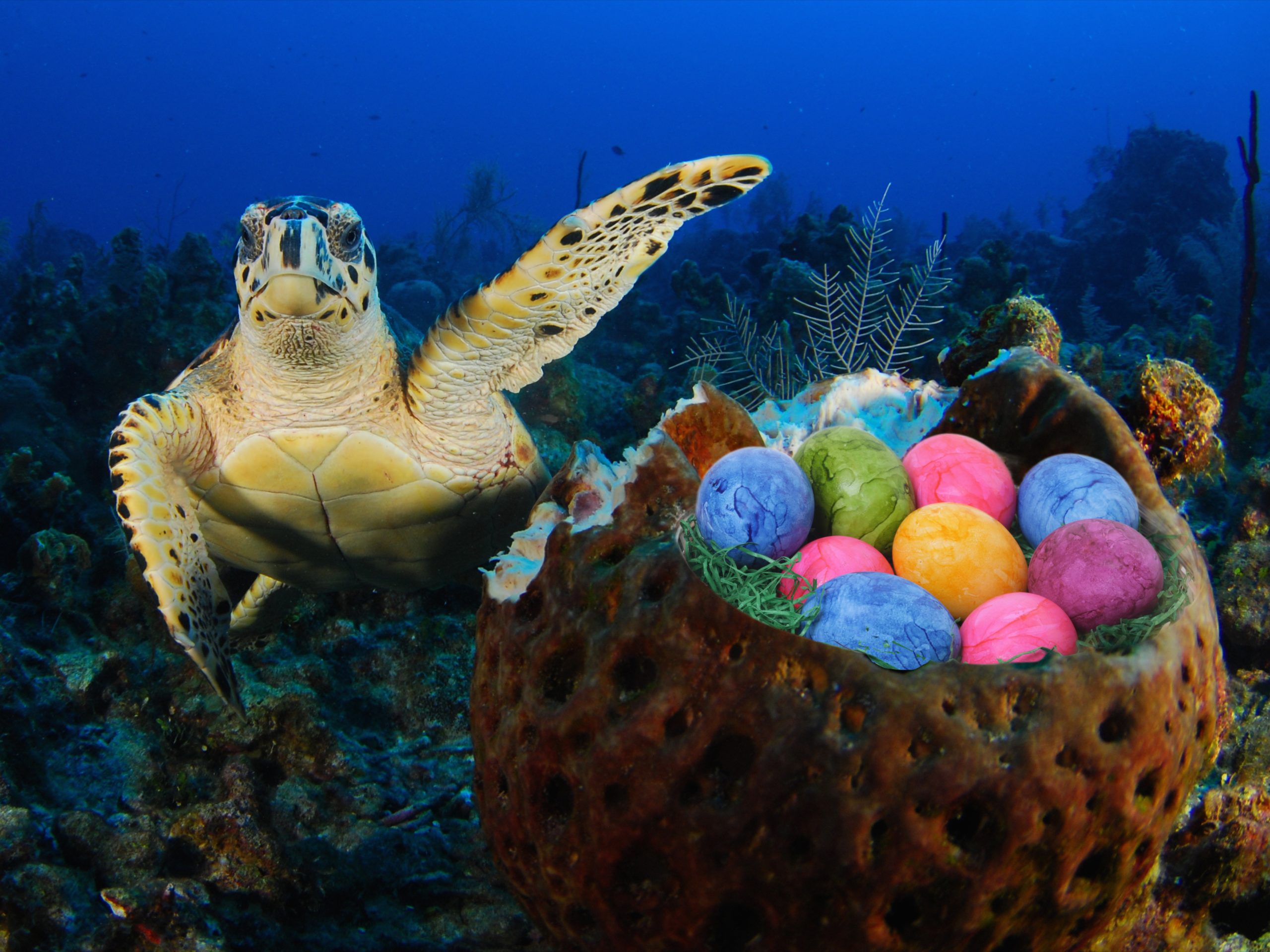 Ostern-Hurghada