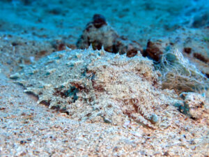 Heute lohnte sich auch ein Blick nach unten