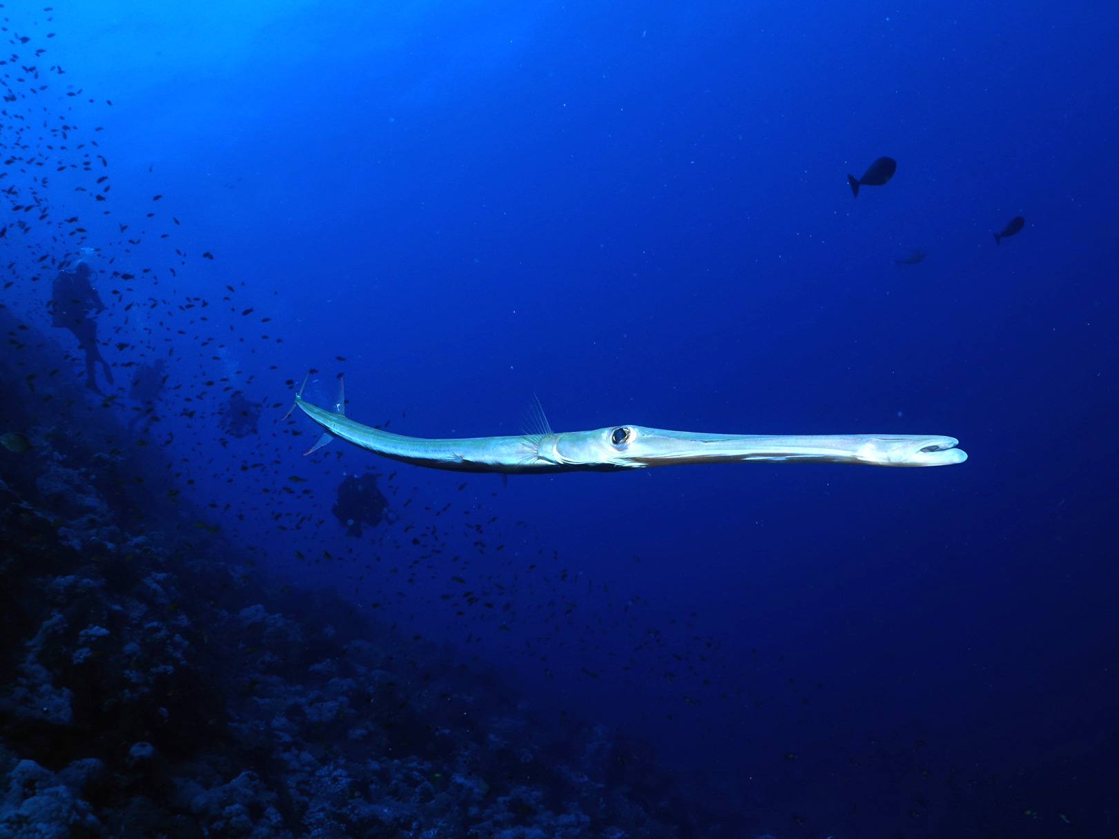 ein schöner Montag im blauen Meer