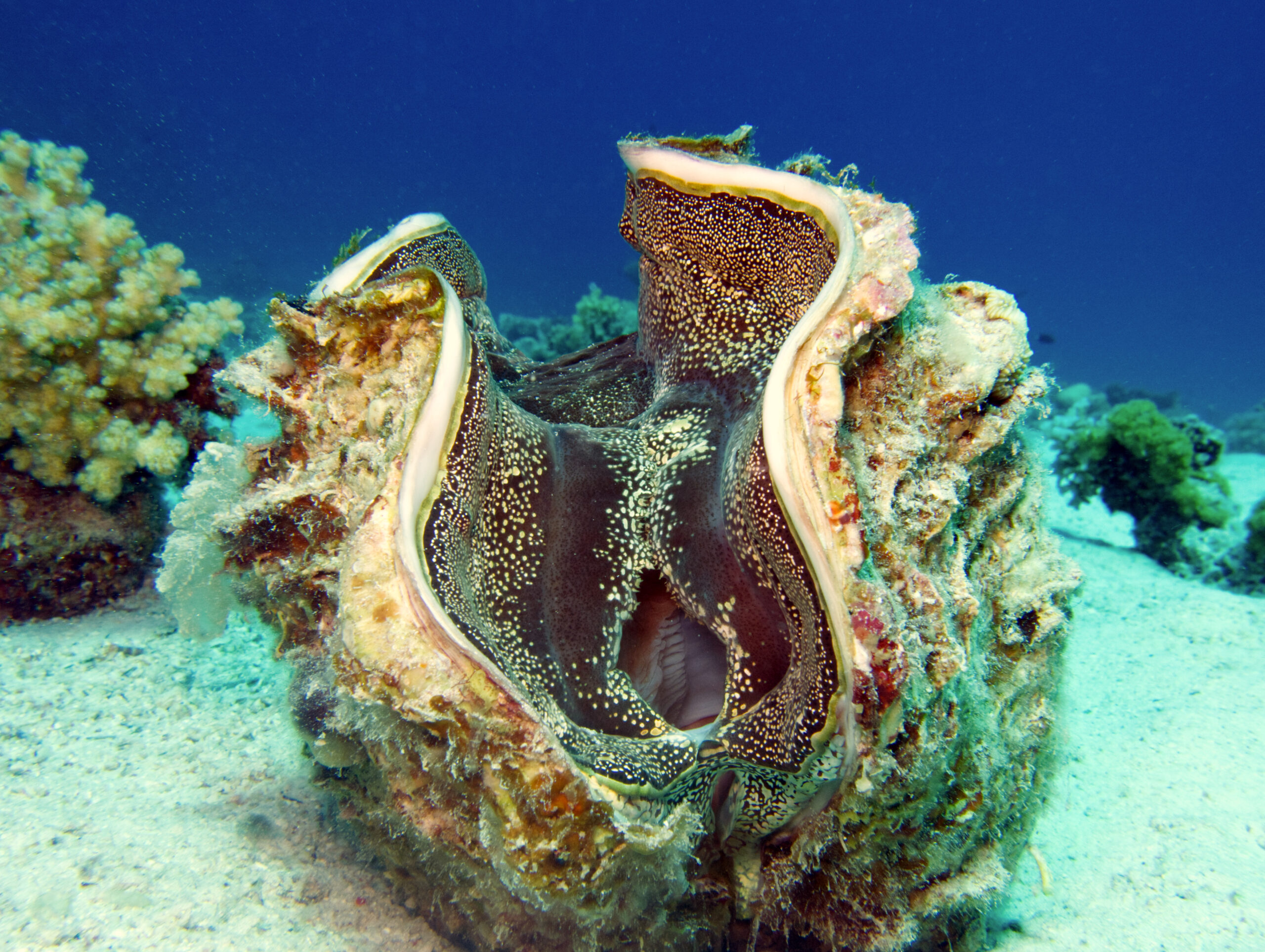 Nicht nur die Fische waren sehenswert