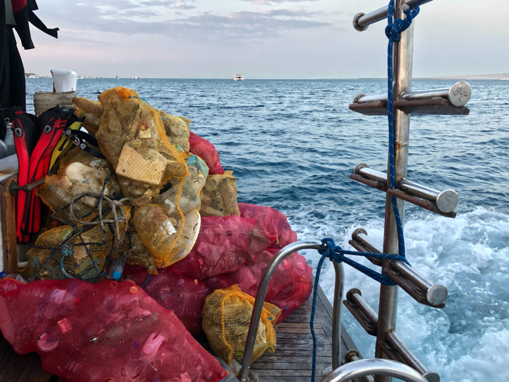 Heute war Unterwasser Anfassen erlaubt