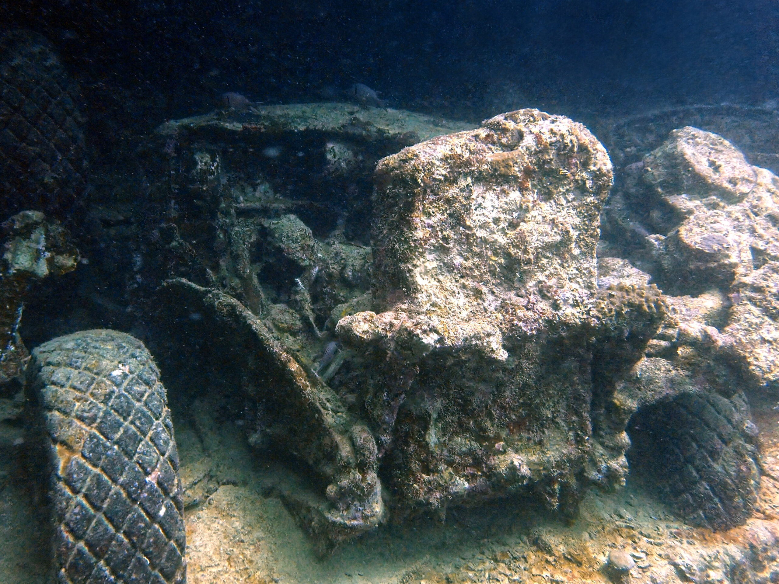 Die Thistlegorm wartete schon auf uns