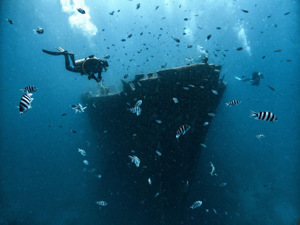 Unsere Woche am Roten Meer im Rückblick