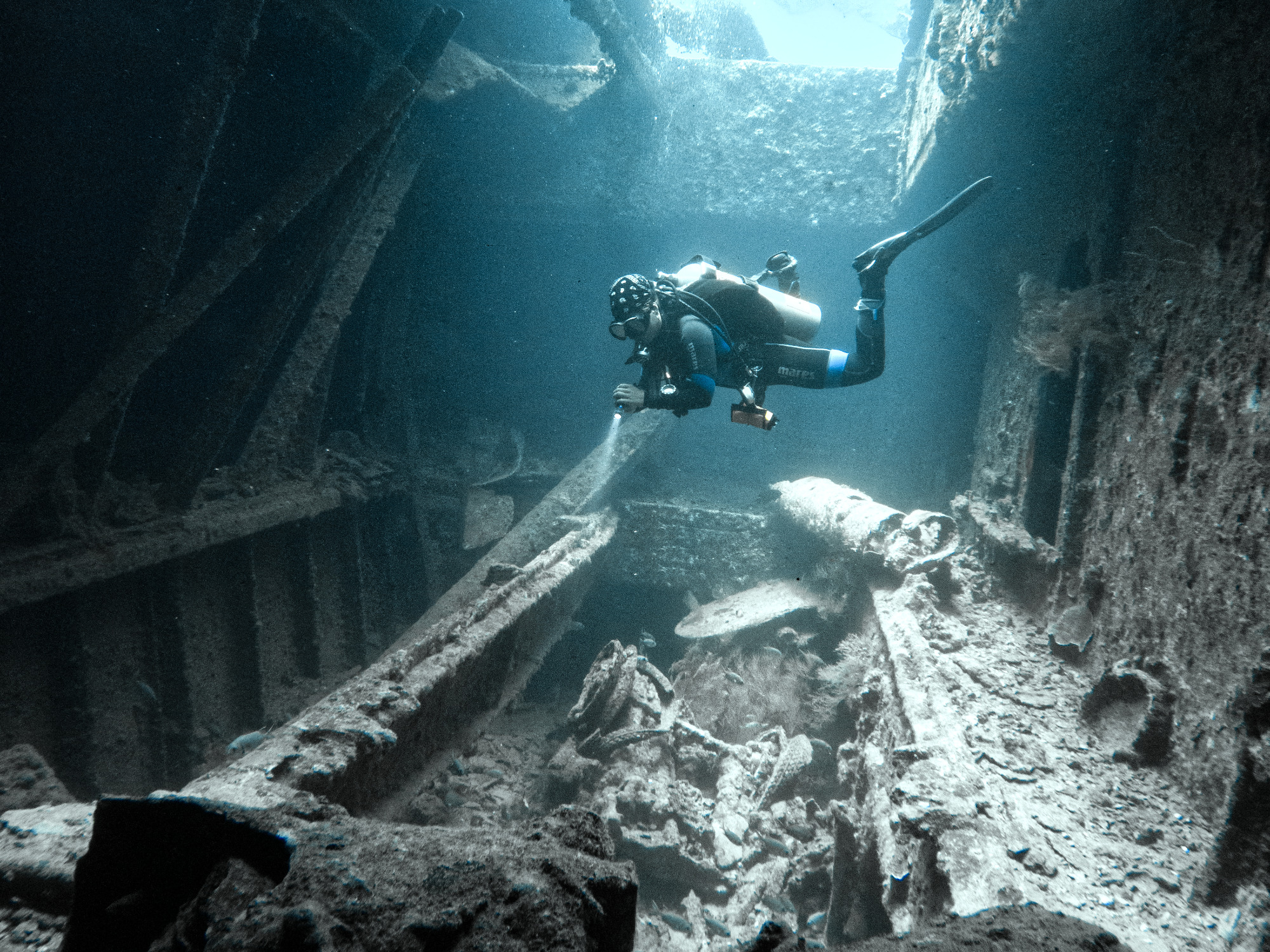 Viel Zu Entdecken An Der Thistlegorm - James & Mac Diving Center