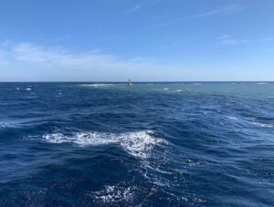 Early Morning Dive am Panorama Reef