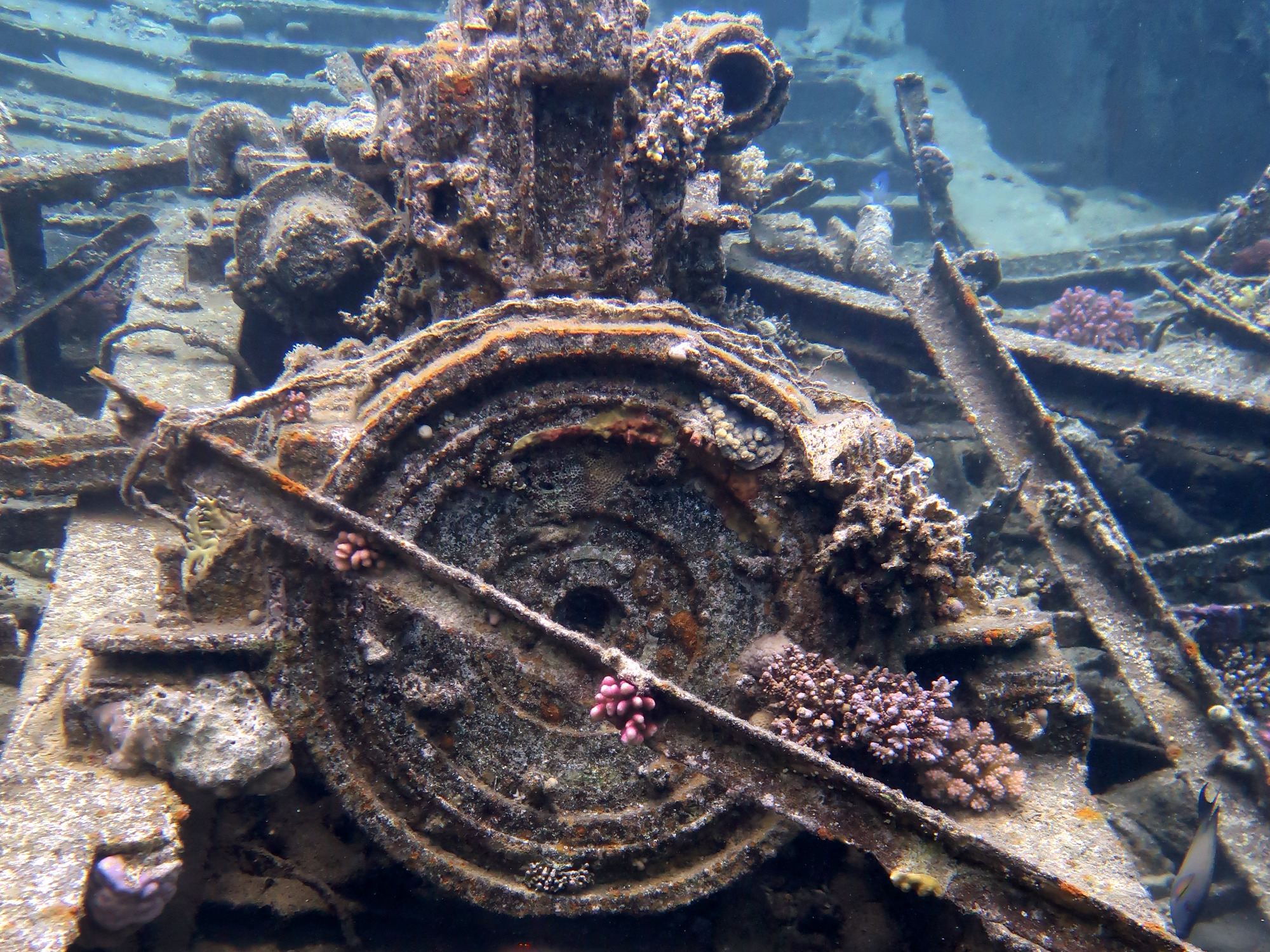 Feine Tauchgänge am Wrack der Thistlegorm