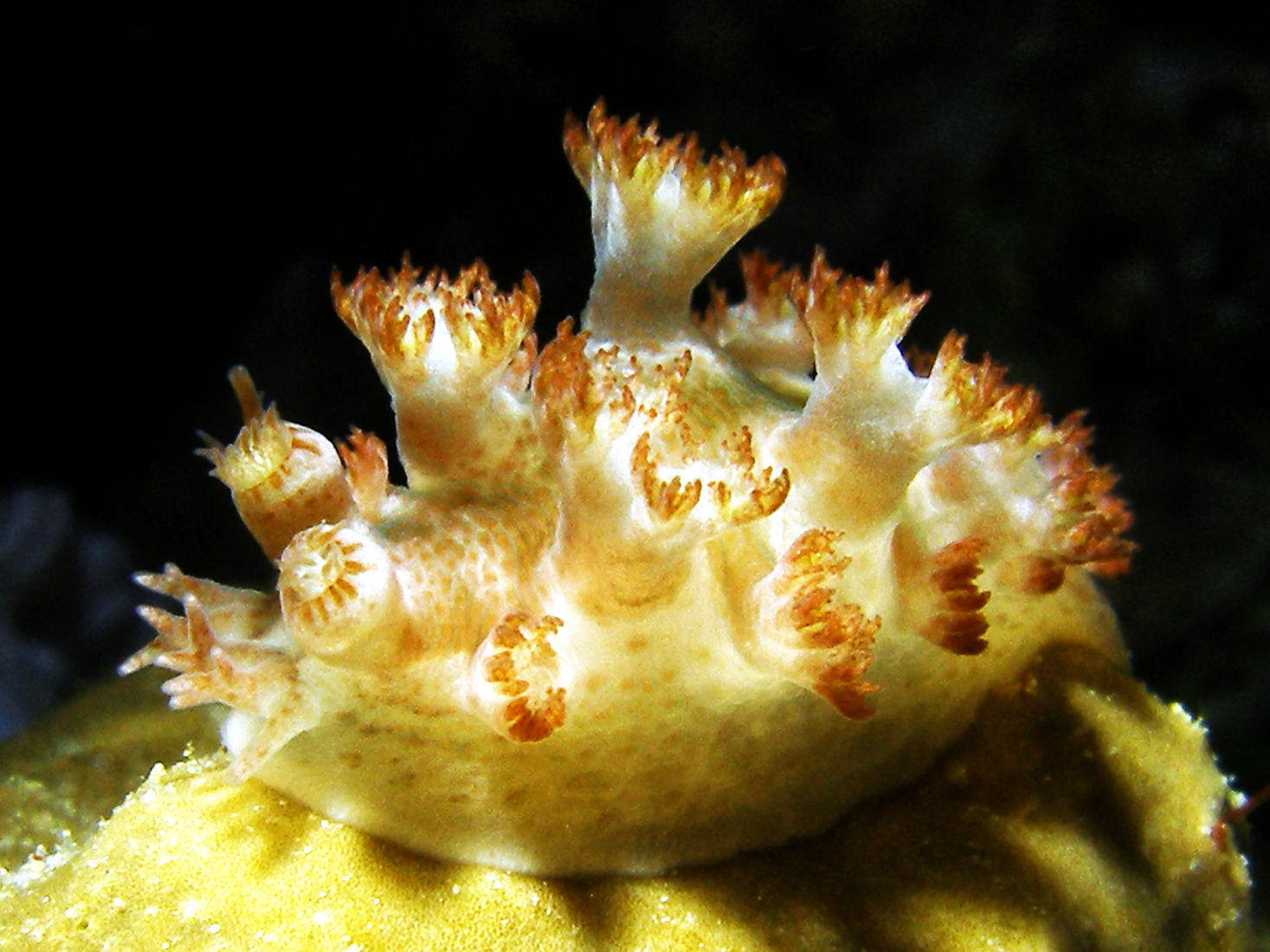 Ein schöner Tag am kunterbunten Aquarium