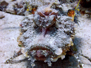 Ein Aquarium Besuch am Sonntag