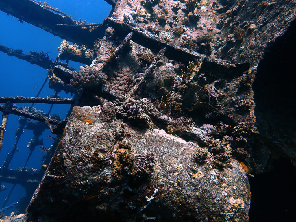 Besondere Tauchgänge auf der Sondertour
