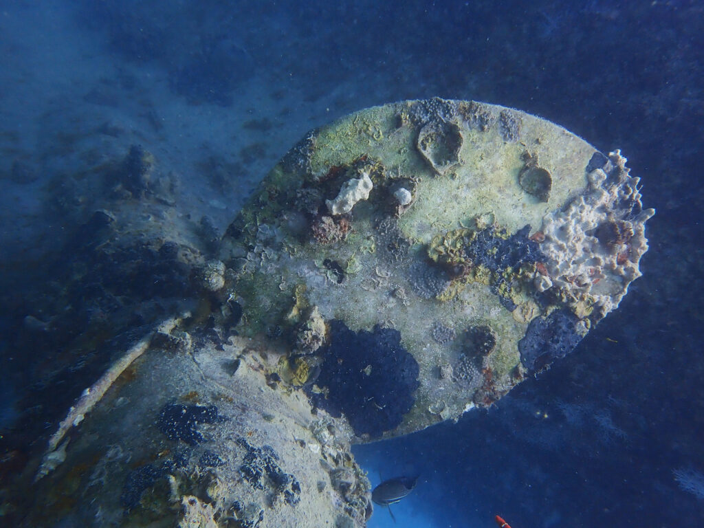 Mit einem Wracktauchgang in den Tauchtag