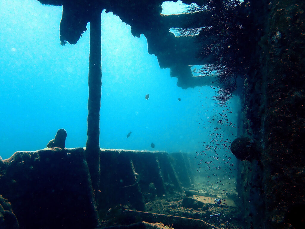 Am Morgen gings auf zur schönen Thistlegorm