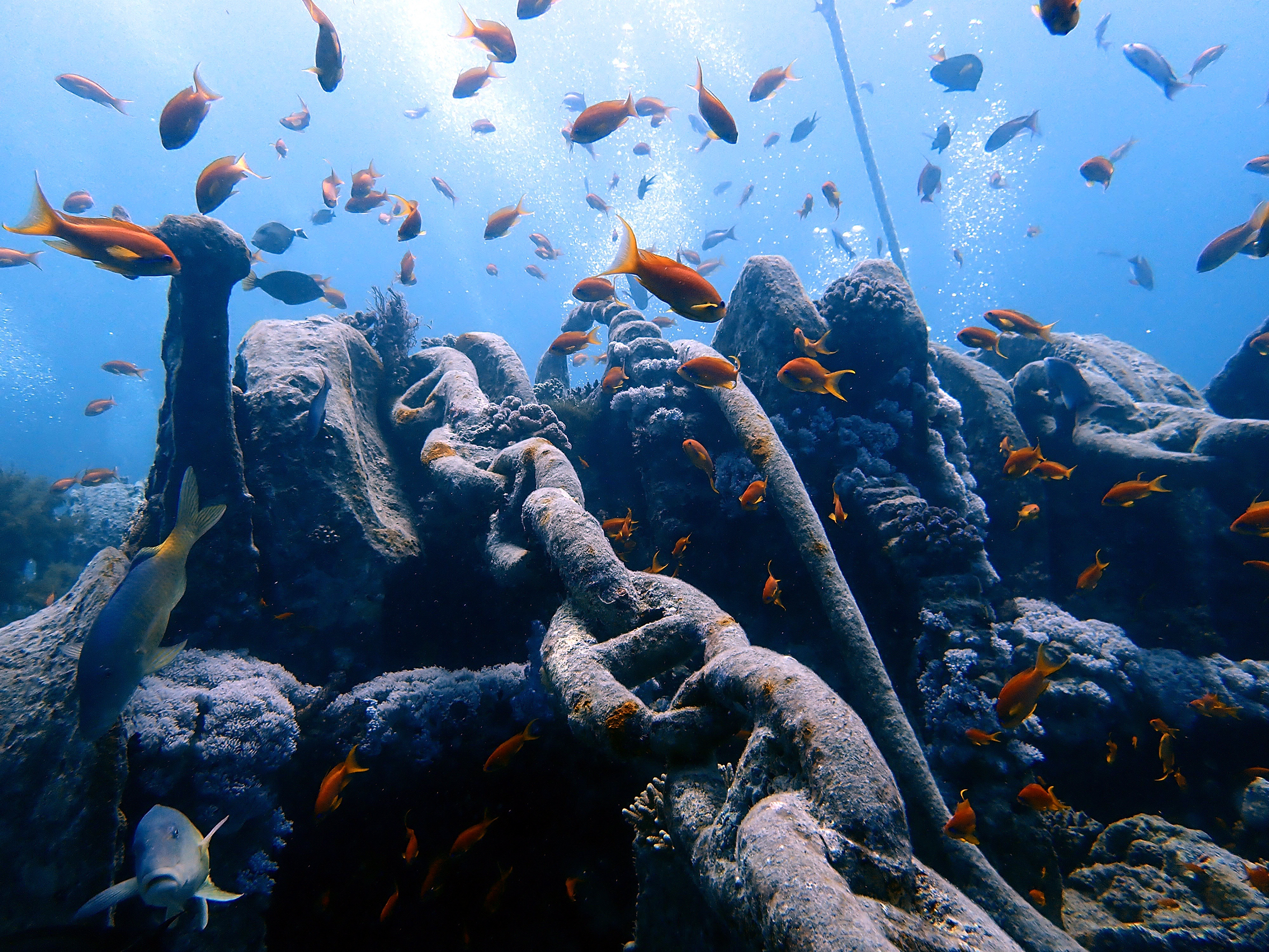 Eine Reise zur Geschichte der Thistlegorm