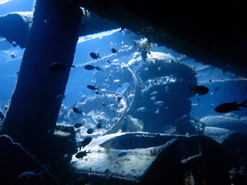Ohne Wind und Wellen in den hohen Norden