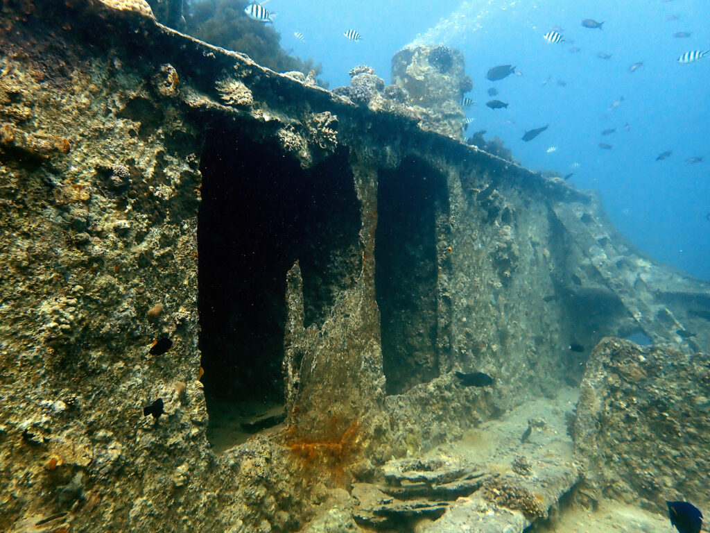 Zurück aus dem Norden mit einem Wrack und Delfinen