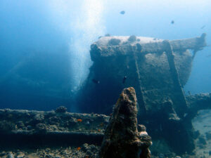 Tolle Wracktauchgänge am letzten Tag des Jahres