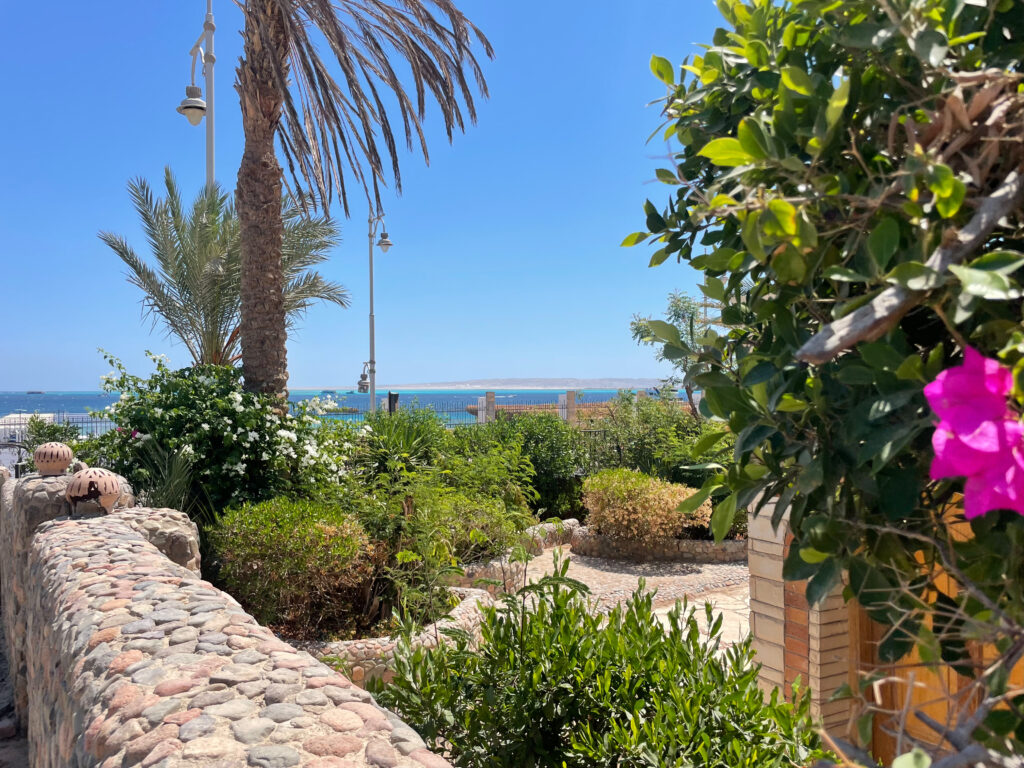 News aus Ägypten – unsere Winterwoche