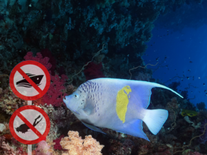 Der Wettergott behielt uns heute an Land