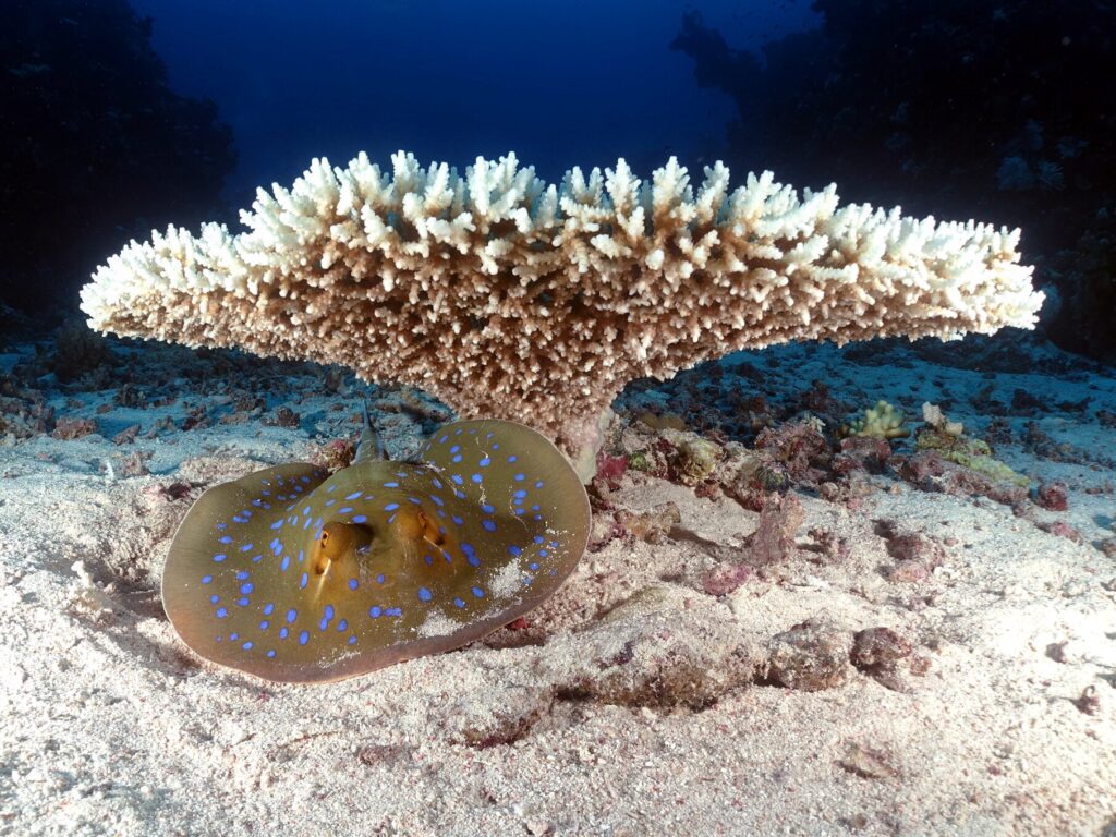 Guide-Frauenpower am Weltfrauentag