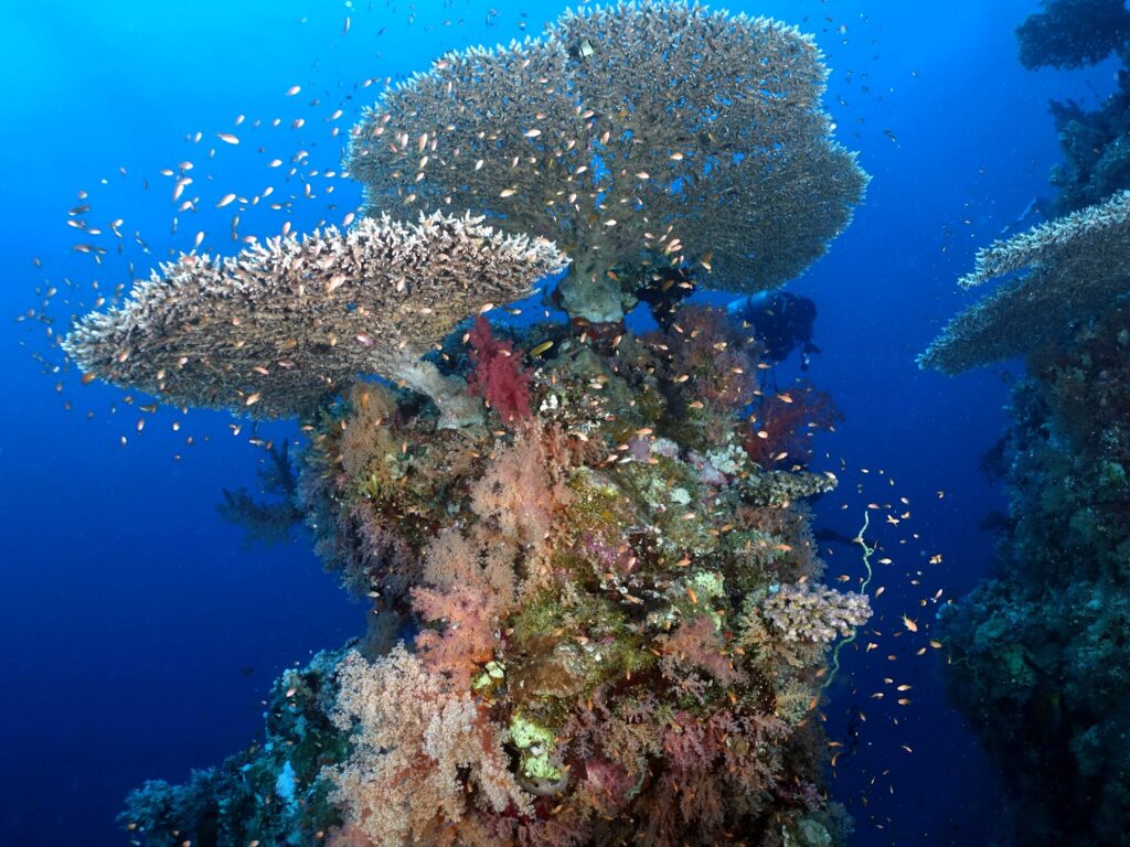 Plan A bis Z – wir können alles