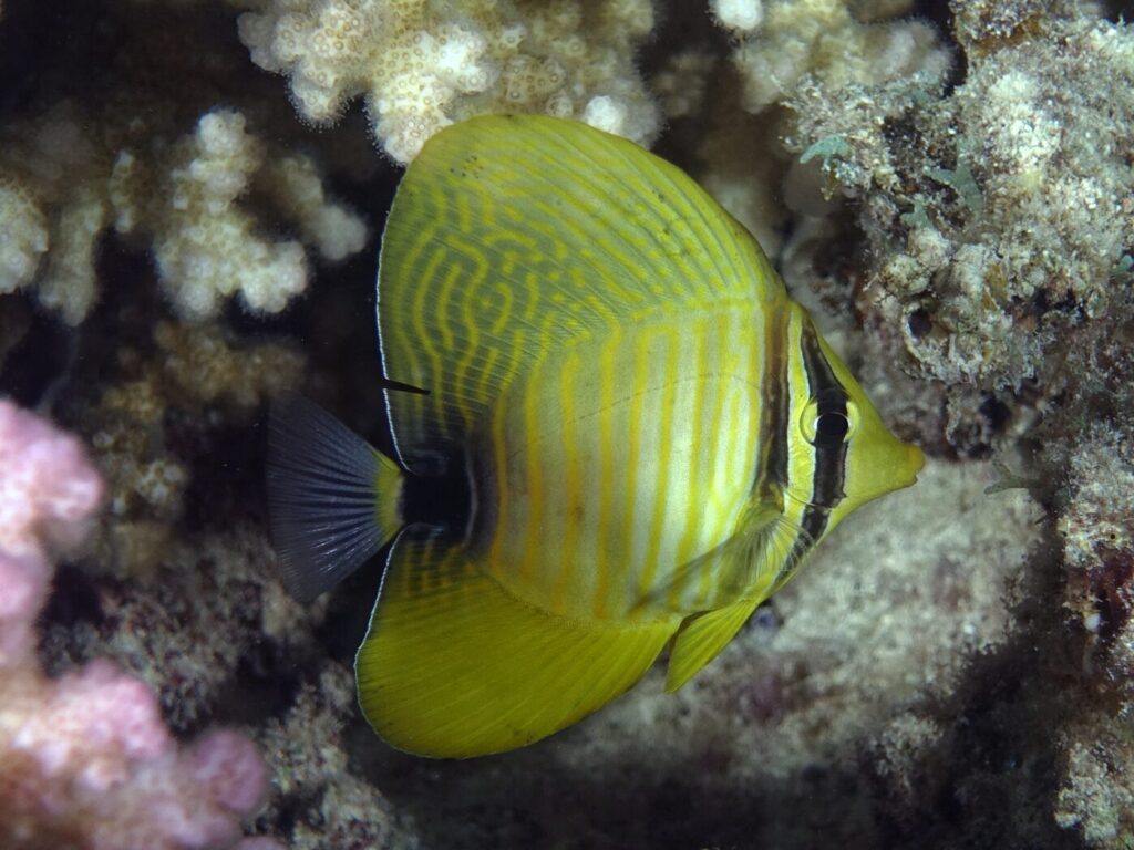 Wenn das Meer Regie führt