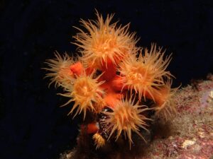 Die Sonne küsst das Rote Meer