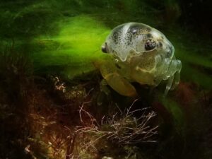 Water Under in Hurghada