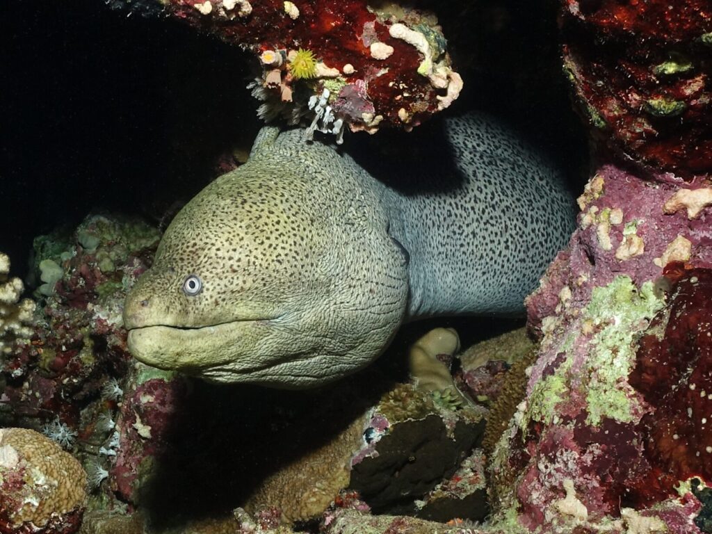 Mit Windbegleitung in den Weihnachtsmonat