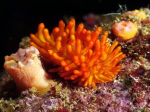 Rendezvous der besonderen Art