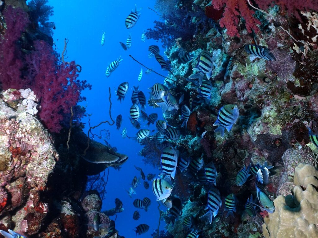 Delfinmomente und Driftabenteuer