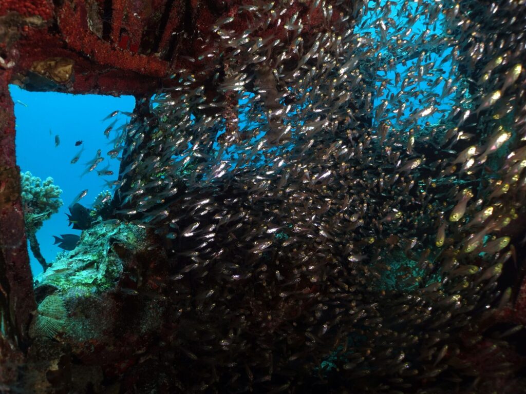 Wracks, Weitblick & Wohlfühl-Vibes