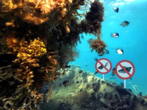 Ab morgen dürfen wir wieder ins Wasser