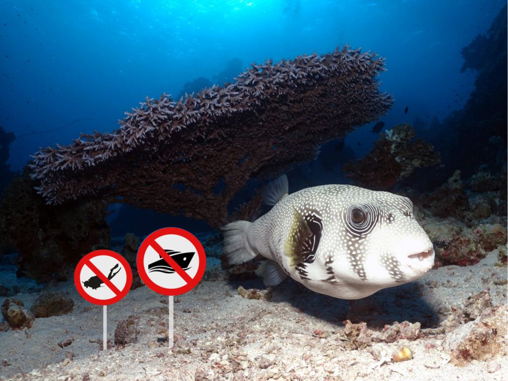 Der Wind sprach: Bleibt am Strand