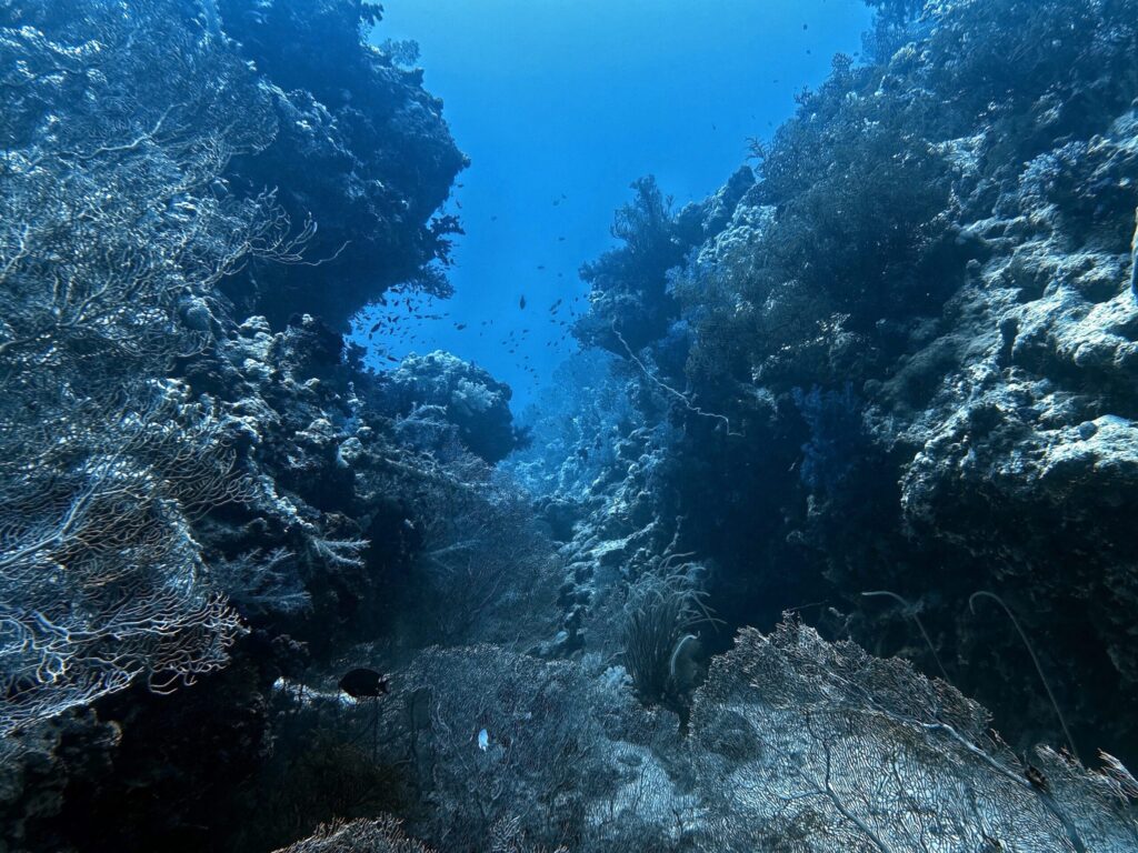 Die Delfine warteten heute woanders auf uns