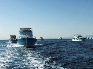 Die News der Woche frisch vom Roten Meer