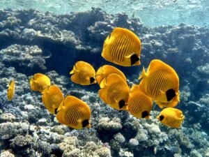 Entspannt ins fischreiche Wochenende