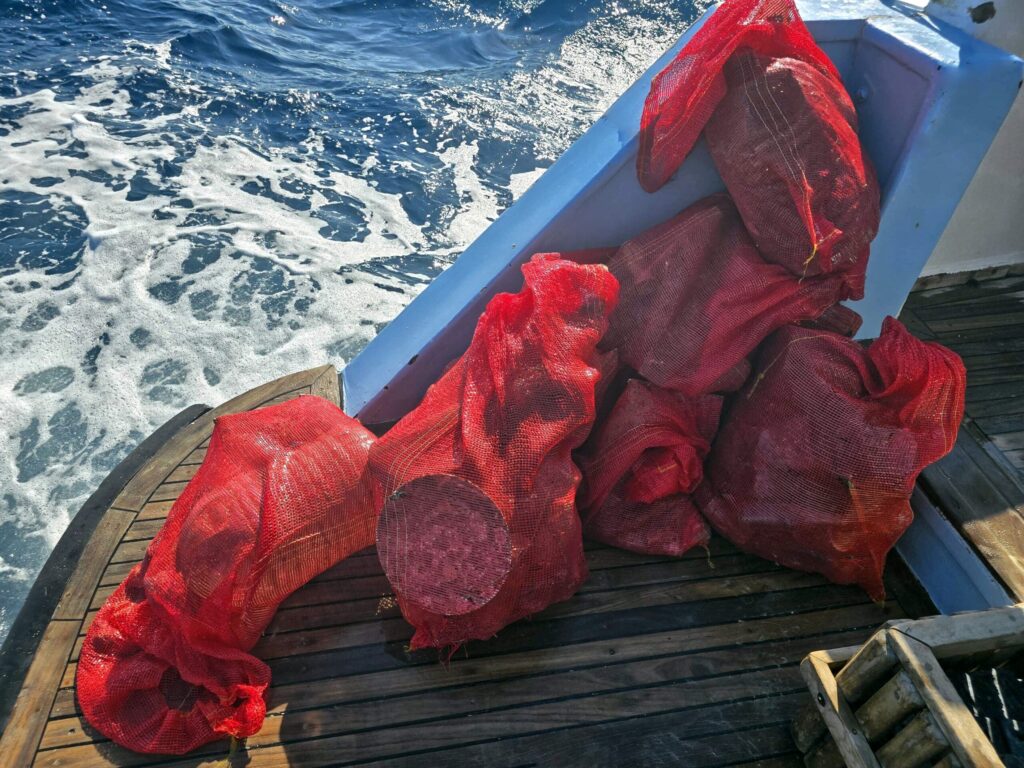 Mission Müllsammeln erfolgreich abgeschlossen