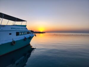 News und Spannendes vom Roten Meer