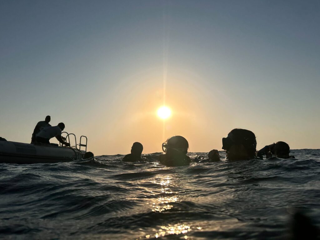 Im Morgengrauen ins Unterwasserparadies