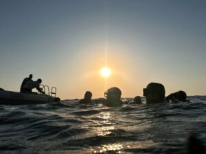 Im Morgengrauen ins Unterwasserparadies