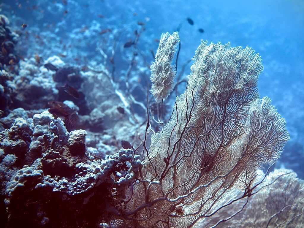 Eine Geschichte aus dem Blau