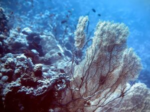 Eine Geschichte aus dem Blau