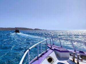 Unser Wochenrückblick direkt vom Roten Meer